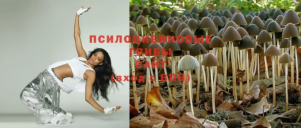 ешки Бугульма