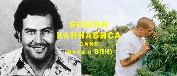 МДПВ Бронницы