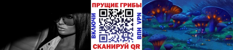 как найти закладки  Медногорск  Псилоцибиновые грибы мицелий 